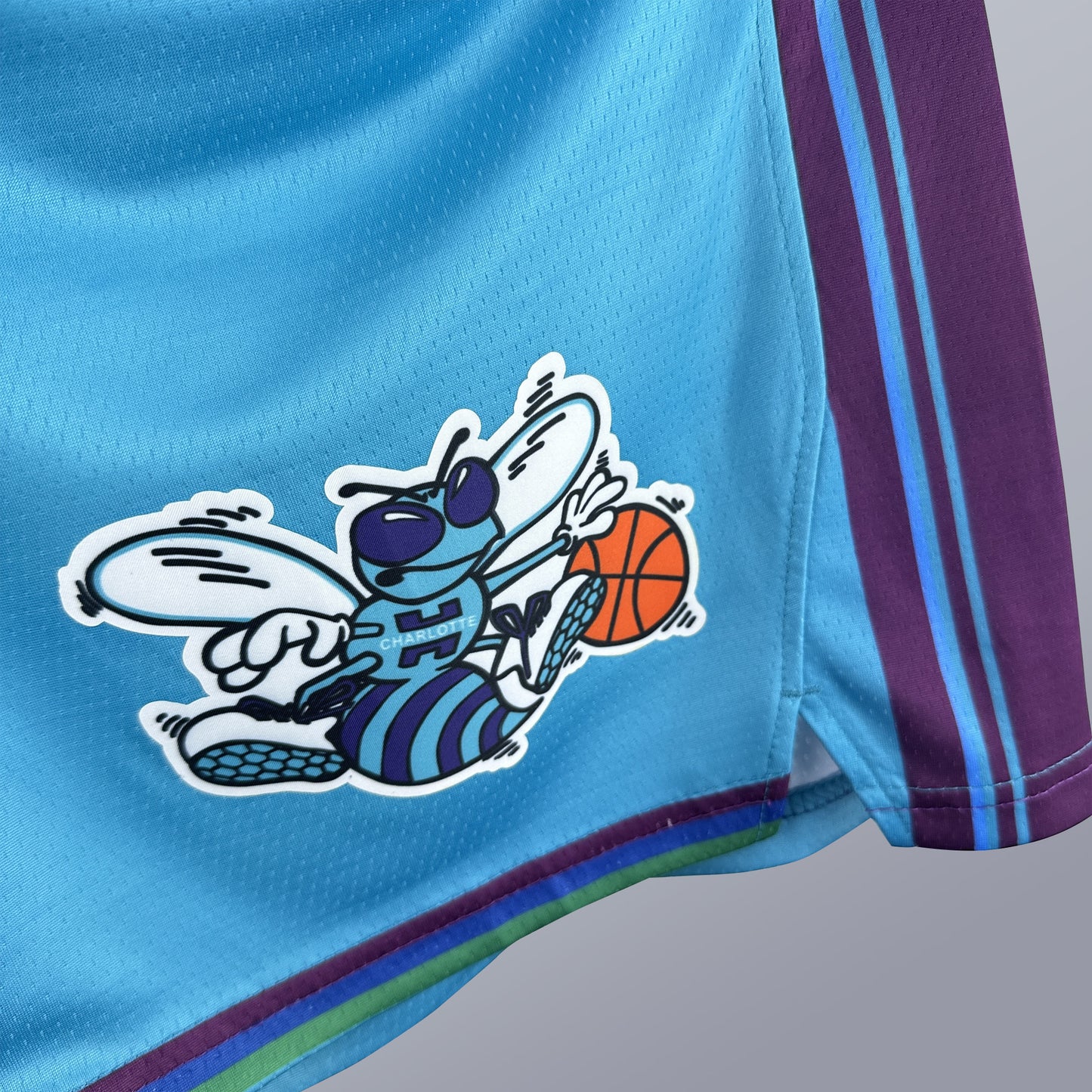 Hornets Player Shorts- Hardwood Classic Edition Swingman 2023/24